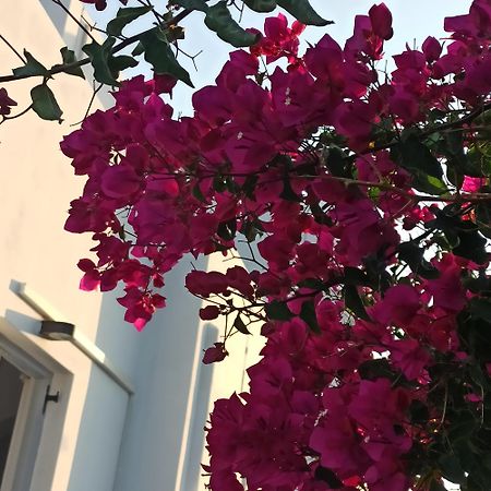 Isalos Paros เนาซา ภายนอก รูปภาพ